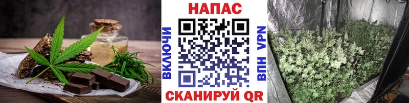 Canna-Cookies конопля где купить наркоту Княгинино