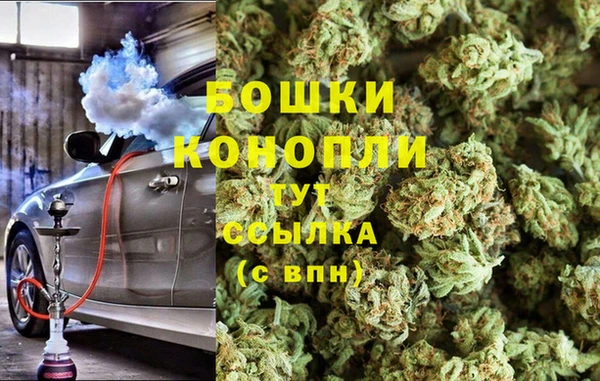 спайс Няндома
