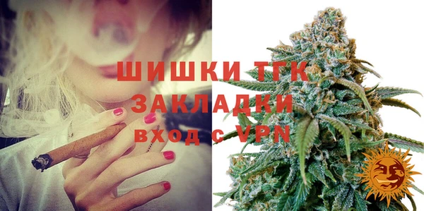 спайс Няндома